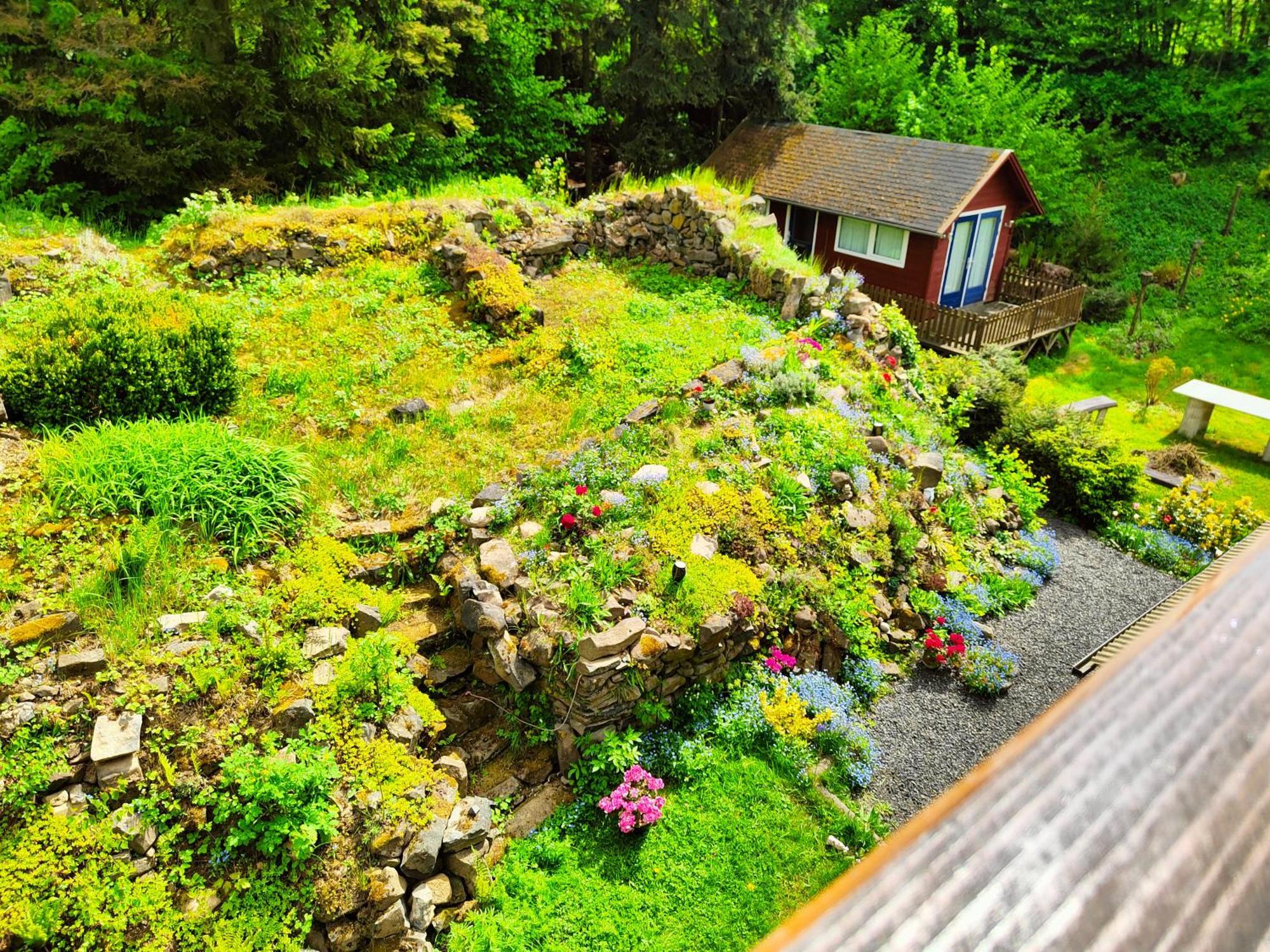 Bed And Breakfast Tvrz Velká Bukovina Extérieur photo